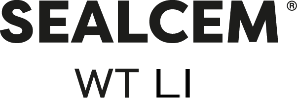 Sealcem DSV Colour Logo